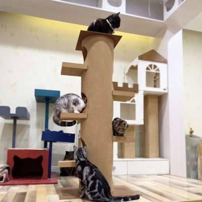 long lasting Cork Cat Tree Tower, High Grade Cork Cat Climbing Tree, 67cm L x 50cm W x 123cm H